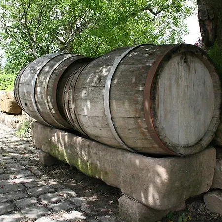 Hébergement de vacances Ritschberg Wallenborn